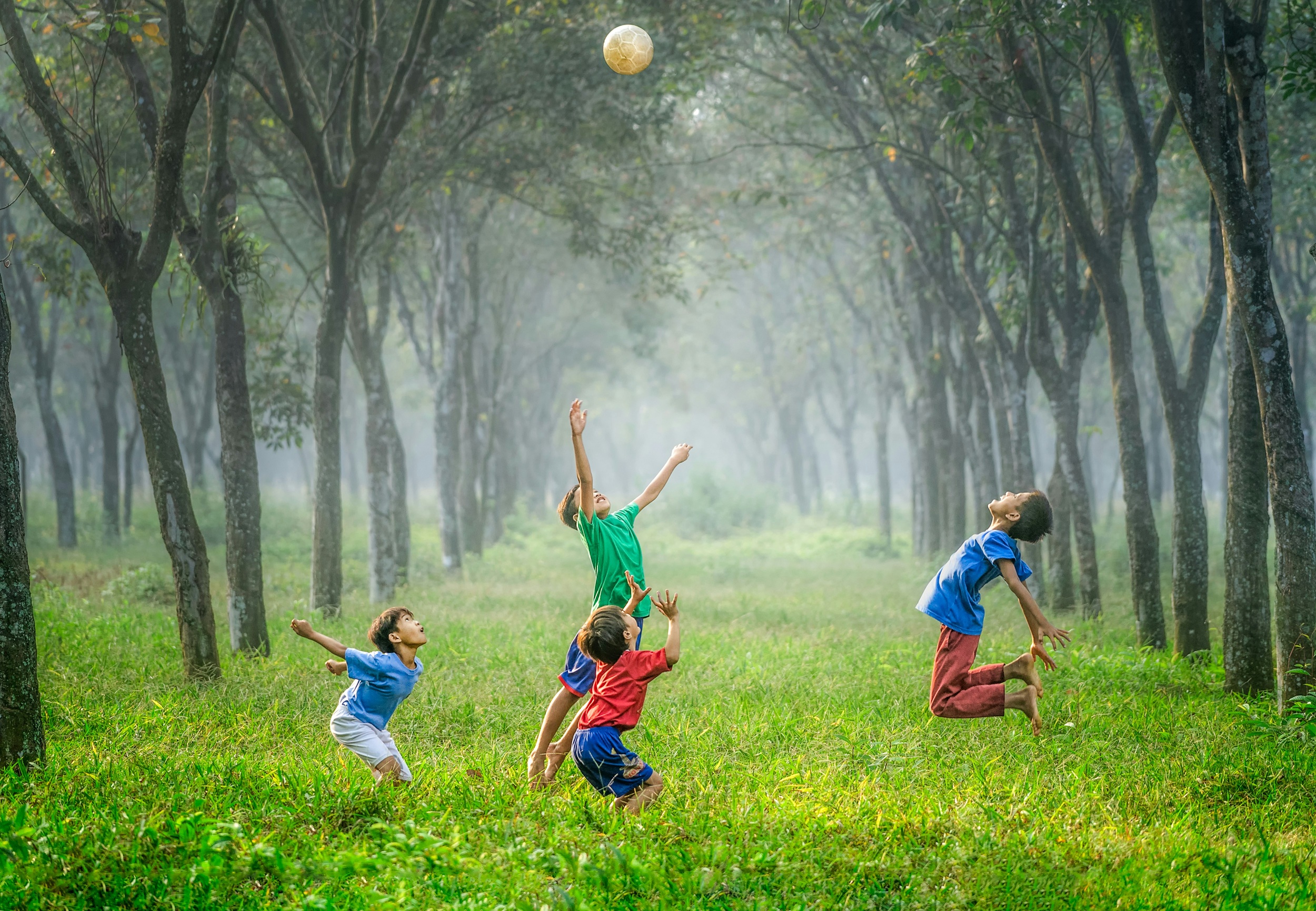 Child Applications under Appendix FM: