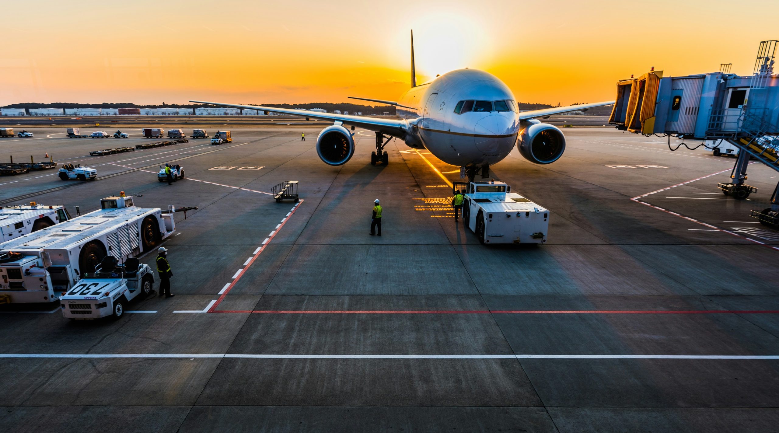 Taylor Hampton Is Hiring: Australian Migration Agent