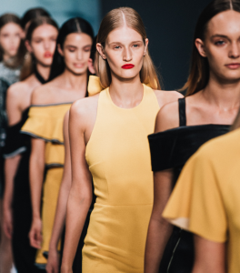 Colour photograph of models Taylor Hampton Solicitors assists fashion designers