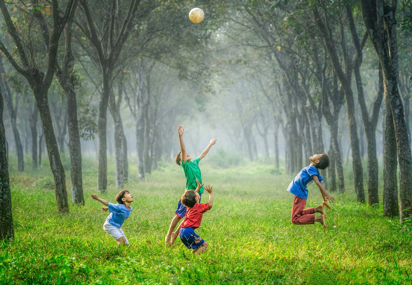 Child Applications under Appendix FM: